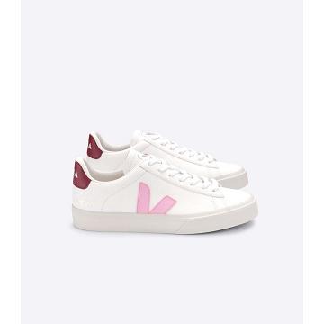 Veja CAMPO CHROMEFREE Low Tops Sneakers Panske White/Pink | SK 193WNB